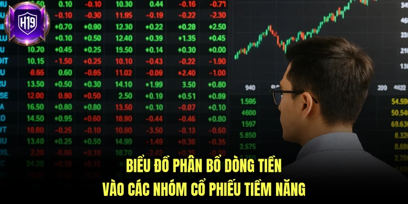 Biểu đồ phân bổ dòng tiền vào các nhóm cổ phiếu tiềm năng